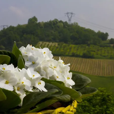 Cascina Recarano *